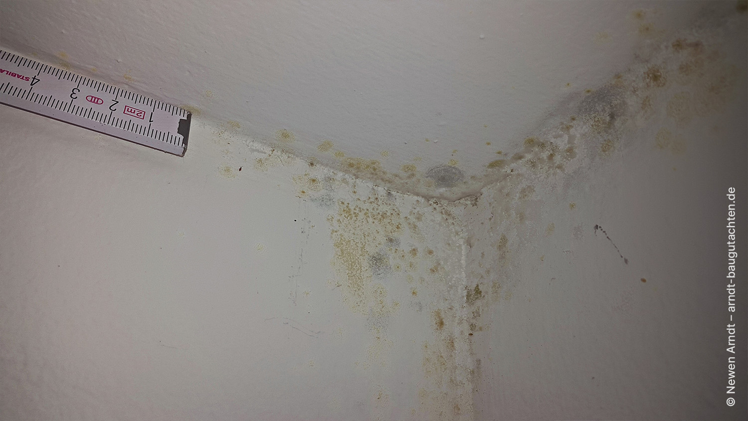 Bild 02 - Newen Arndt, Schimmel Gebäudeaußenecke Schimmelbefall unter der Ecke einer Wohnraumdecke