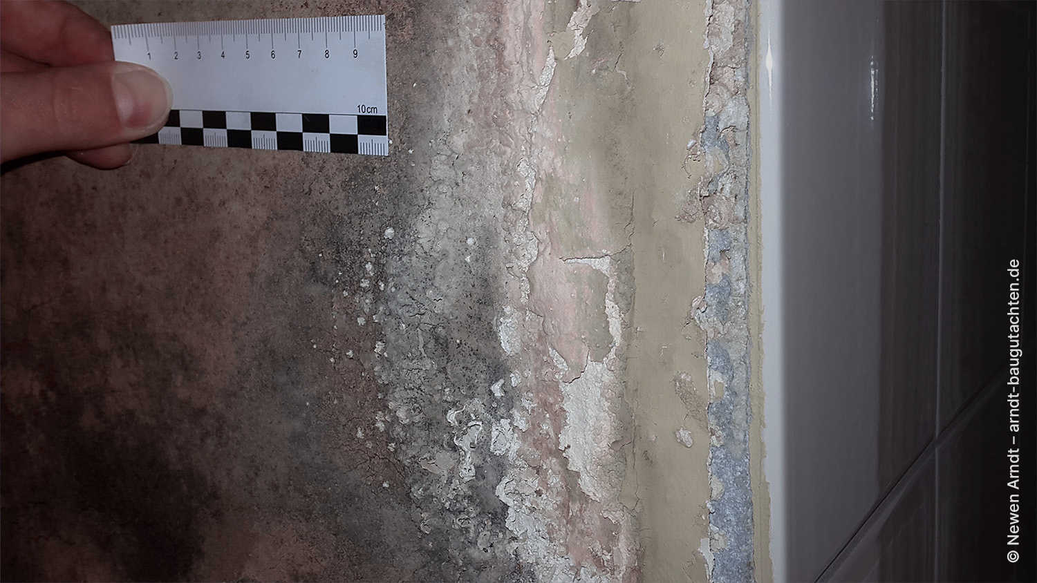 Bild 04 - Newen Arndt, Durchfeuchtung Schaden Diffusion Tauwasser Akkumulation Kondensat Wand Querschnitt Diffusionsbedingte Durchfeuchtung aufgrund Tauwasserakkumulation in einem
Wandquerschnitt